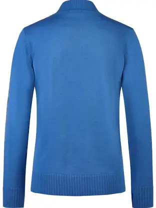 Barbara Lebek Pullover