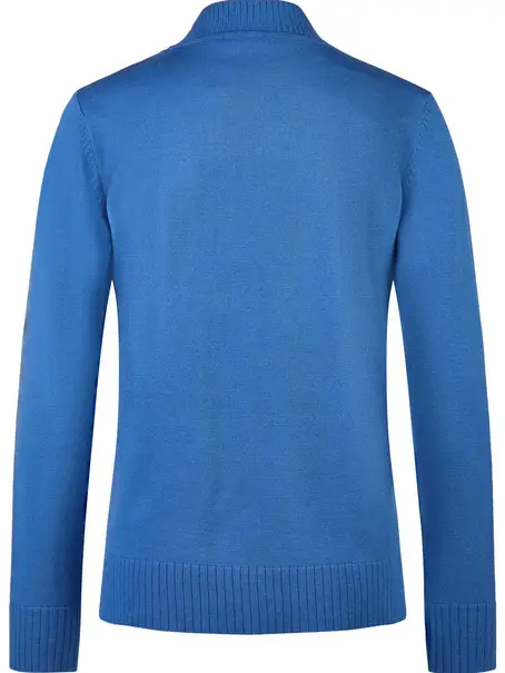 Barbara Lebek Pullover