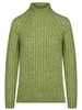 Bicalla Sweater Rib.Turtle