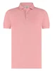 Born With Appetite Arto Polo