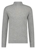 Born With Appetite Gregg Pull Mockneck
