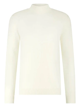 Born With Appetite Gregg Pull Mockneck