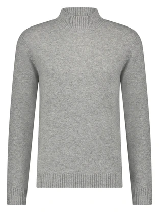 Born With Appetite Gregg Pull Mockneck