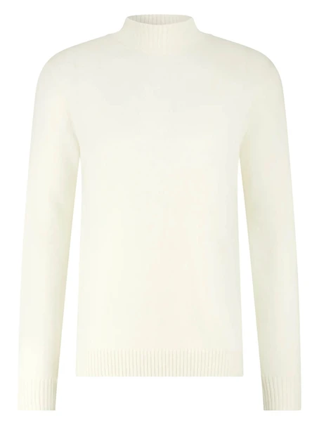 Born With Appetite Gregg Pull Mockneck