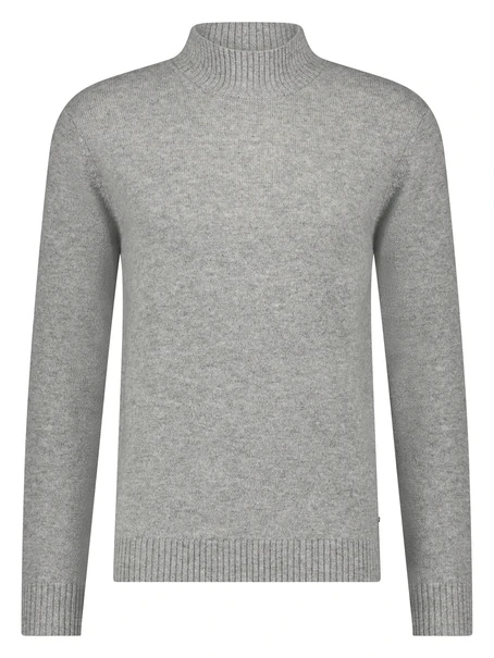 Born With Appetite Gregg Pull Mockneck