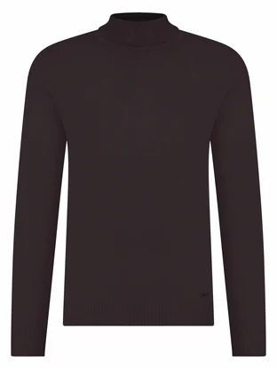 Born With Appetite Niels Rollneck Pullover Merino
