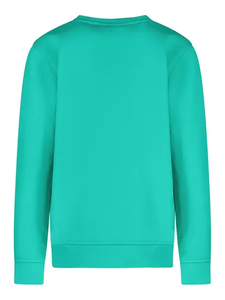 Cars Jeans Kids BYTO SW Green