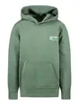 Cars Jeans Kids DUKEY SW Hood Borrle