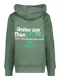 Cars Jeans Kids DUKEY SW Hood Borrle