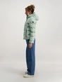 Cars Jeans MUYLA Polyester Mint