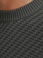 Cast Iron Crewneck regular fit cotton stretc