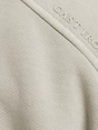 Cast Iron Half zip collar regular fit halfzi