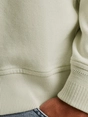 Cast Iron Long sleeve r-neck regular fit twi