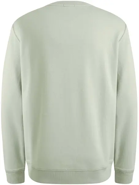 Cast Iron Long sleeve r-neck regular fit twi
