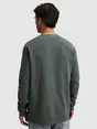 Cast Iron Long sleeve r-neck regular fit waf