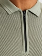 Cast Iron Short sleeve polo regular fit cott