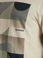 Cast Iron Short sleeve r-neck regular fit tw
