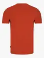 Cavallaro Napoli 117251000