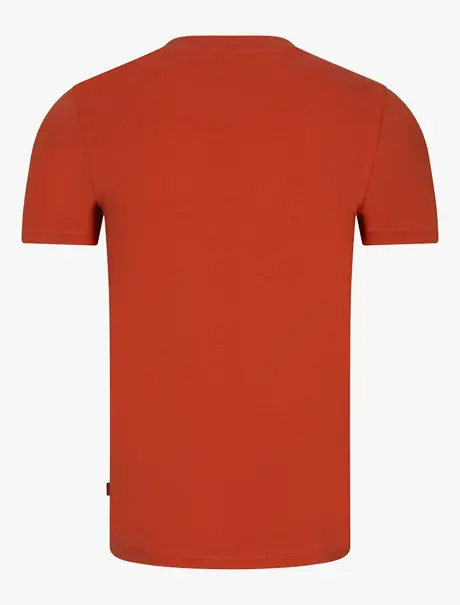 Cavallaro Napoli 117251000