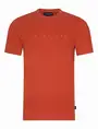 Cavallaro Napoli 117251006