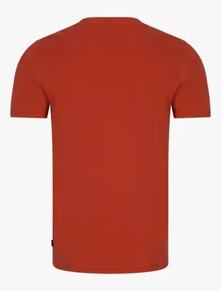 Cavallaro Napoli 117251006