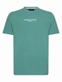 Cavallaro Napoli 117251015