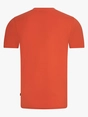 Cavallaro Napoli 117251015