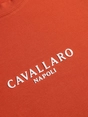 Cavallaro Napoli 117251015