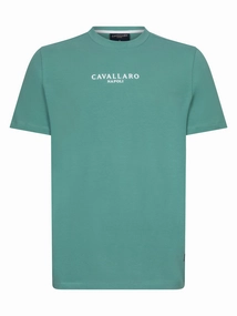 Cavallaro Napoli 117251015