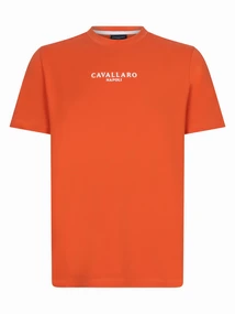 Cavallaro Napoli 117251015