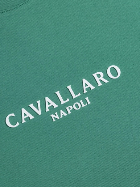 Cavallaro Napoli 117251015