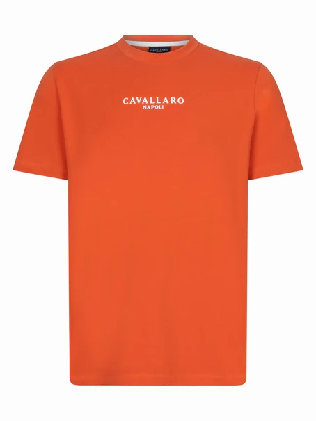 Cavallaro Napoli 117251015