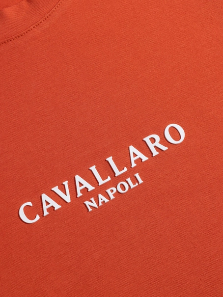 Cavallaro Napoli 117251015