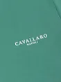 Cavallaro Napoli 117251016