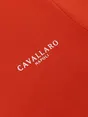 Cavallaro Napoli 117251016