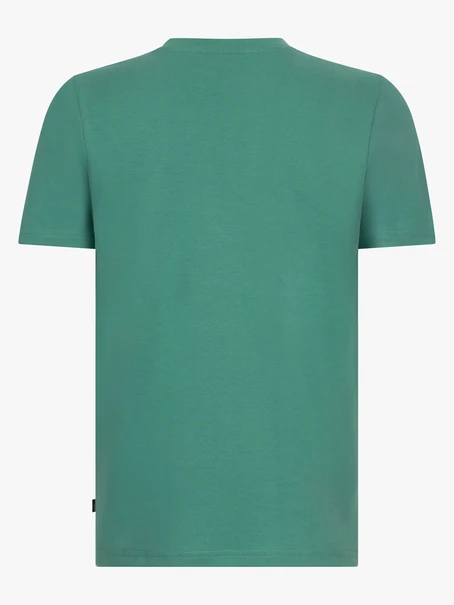 Cavallaro Napoli 117251016