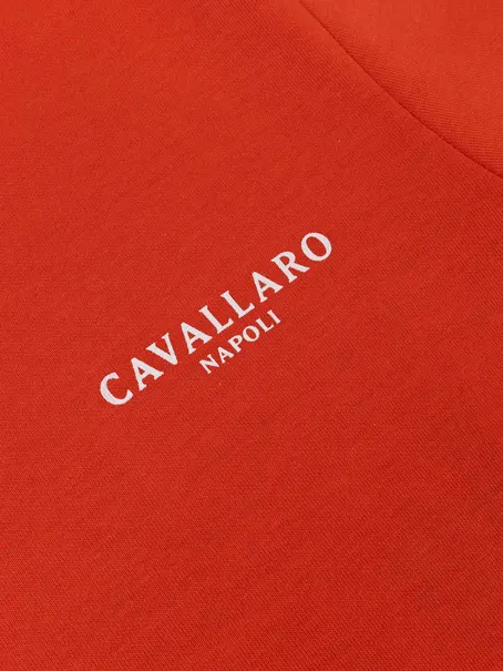Cavallaro Napoli 117251016