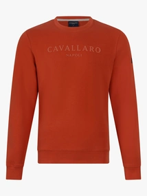 Cavallaro Napoli 120251000