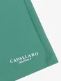 Cavallaro Napoli 122251005