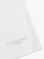 Cavallaro Napoli 122251005