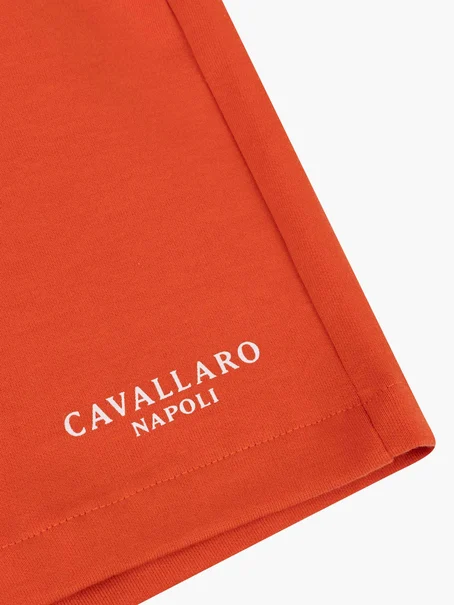 Cavallaro Napoli 122251005