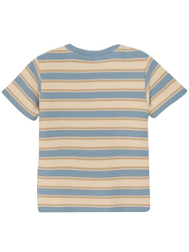Daily7 T-shirt Stripe