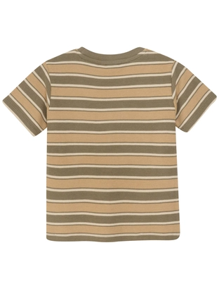 Daily7 T-shirt Stripe
