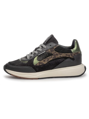 Floris van Bommel Floris Sport Black Pony