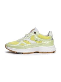 Floris van Bommel Floris Sport LightGreen Metallic