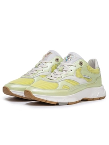 Floris van Bommel Floris Sport LightGreen Metallic