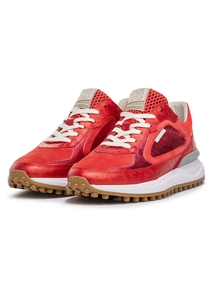 Floris van Bommel Floris Sport Red Metallic Print