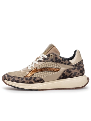 Floris van Bommel Floris Sport Taupe Suede print