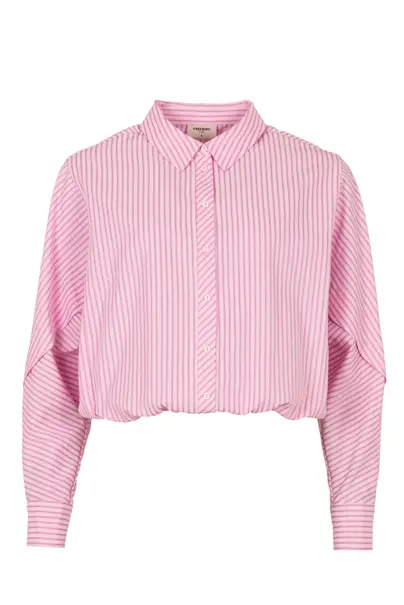Freebird Blair Wv-Cot-Stripe-