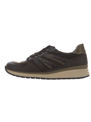 Gabor 6020.01.